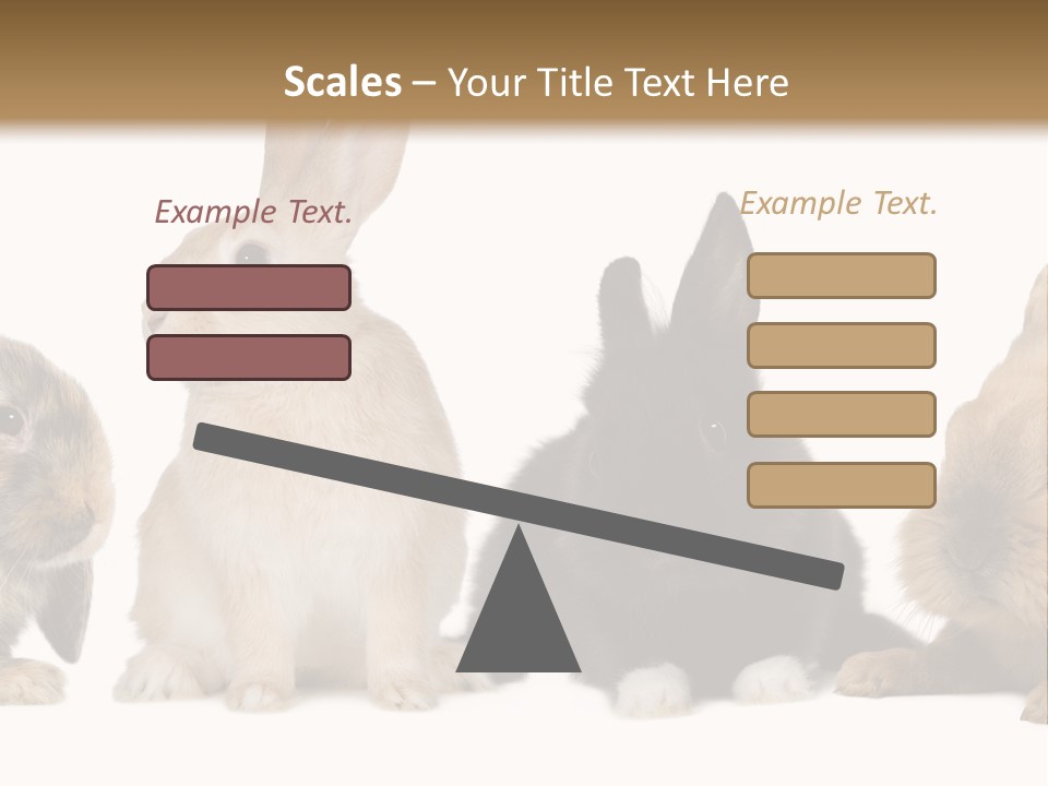 Studio Shot White Background Black PowerPoint Template