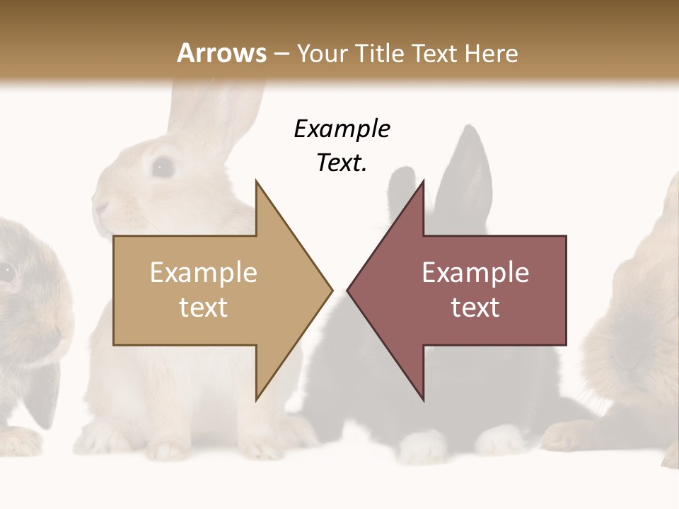 Studio Shot White Background Black PowerPoint Template