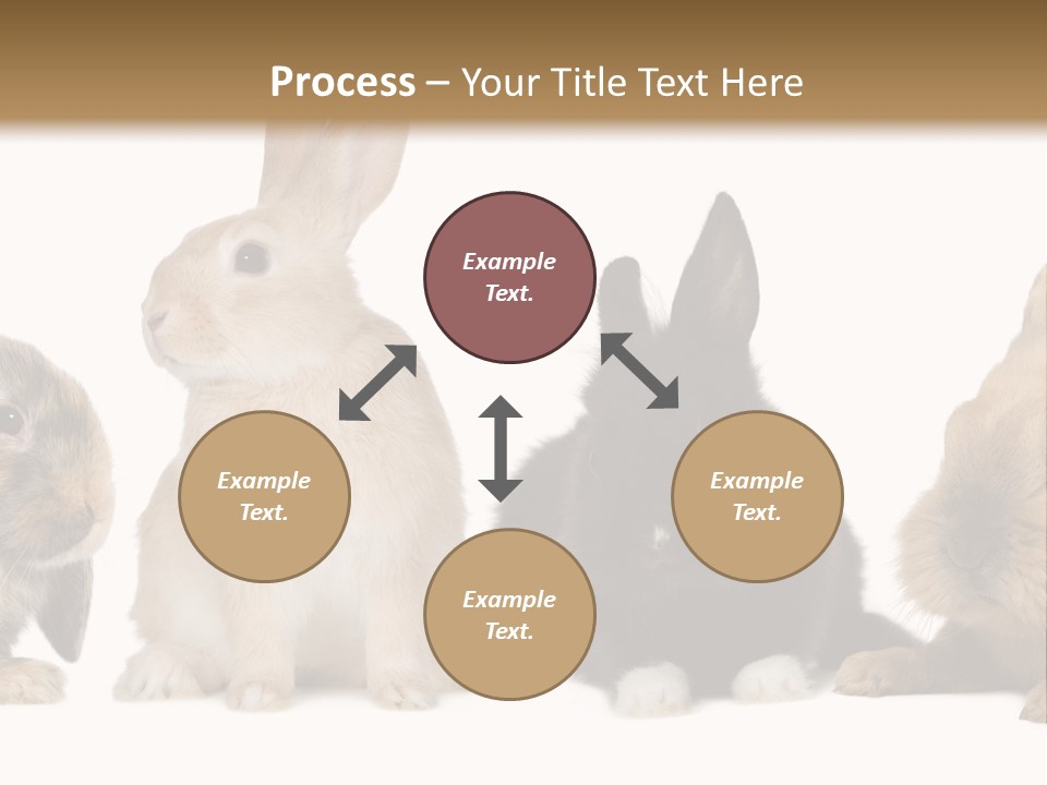 Studio Shot White Background Black PowerPoint Template