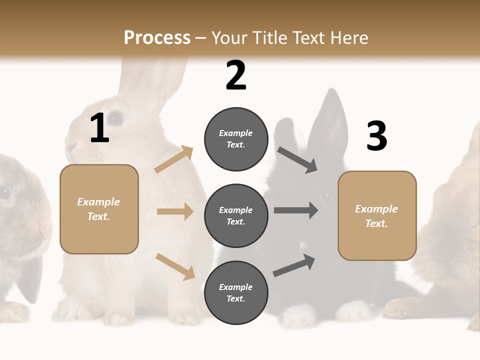 Studio Shot White Background Black PowerPoint Template