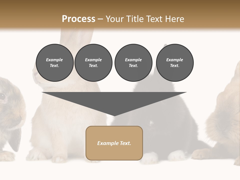 Studio Shot White Background Black PowerPoint Template