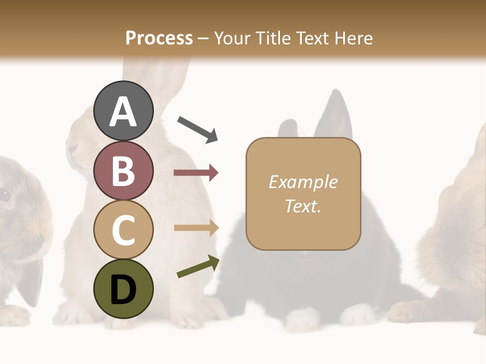 Studio Shot White Background Black PowerPoint Template