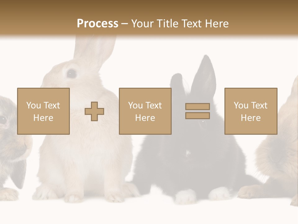 Studio Shot White Background Black PowerPoint Template