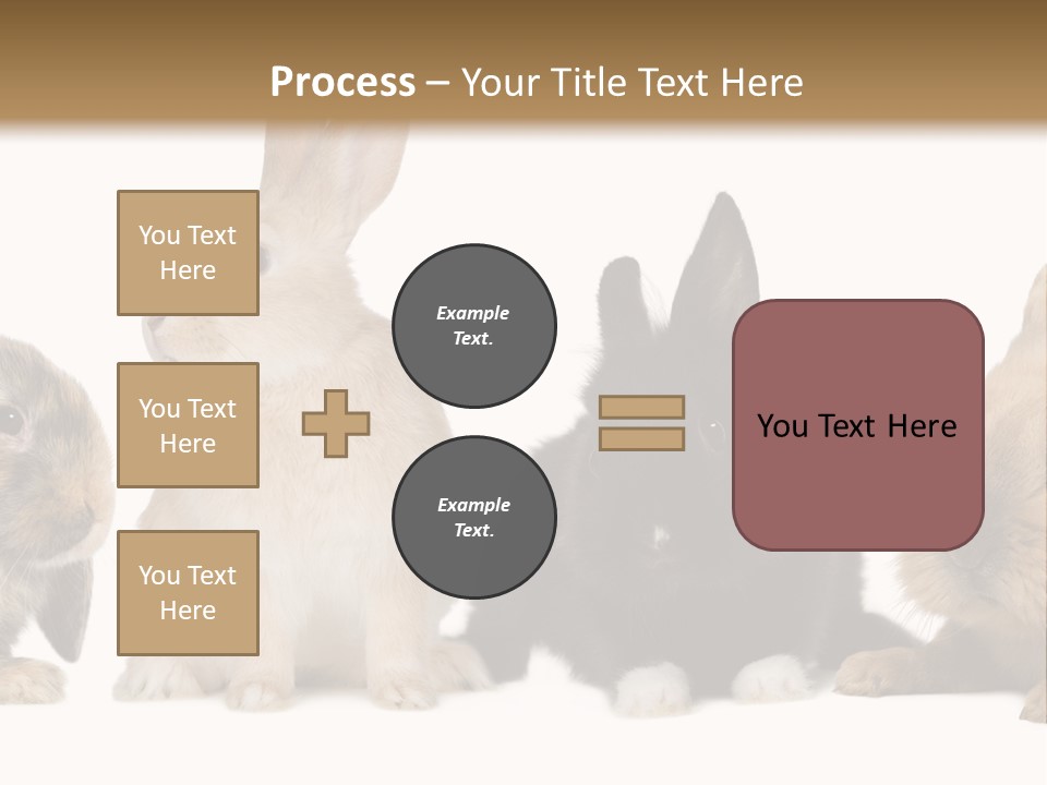 Studio Shot White Background Black PowerPoint Template