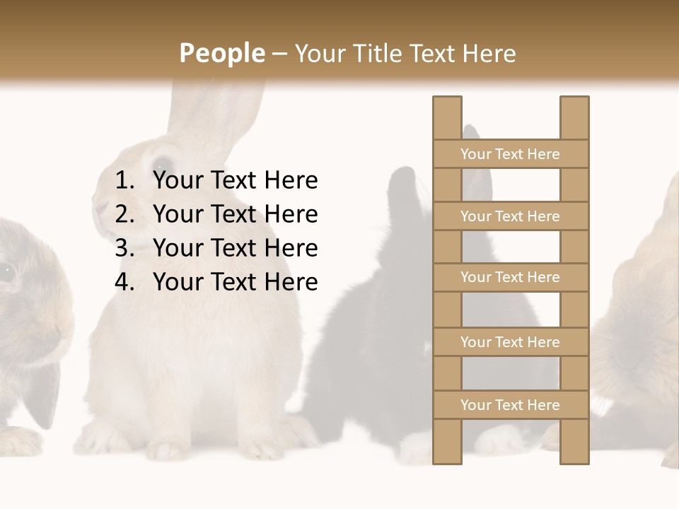 Studio Shot White Background Black PowerPoint Template