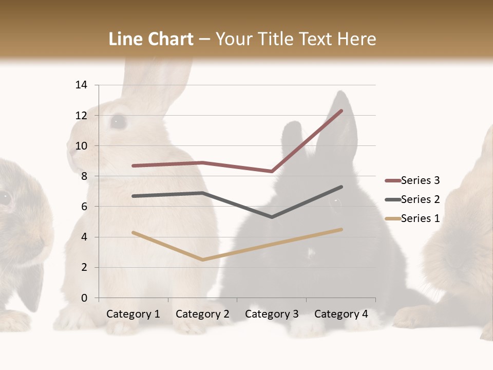 Studio Shot White Background Black PowerPoint Template