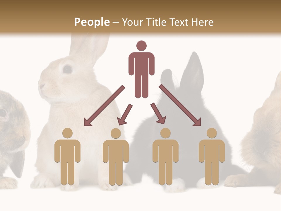 Studio Shot White Background Black PowerPoint Template