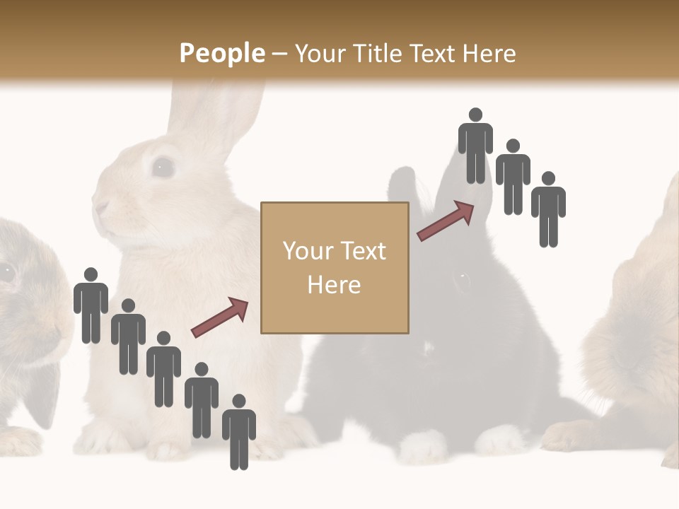 Studio Shot White Background Black PowerPoint Template