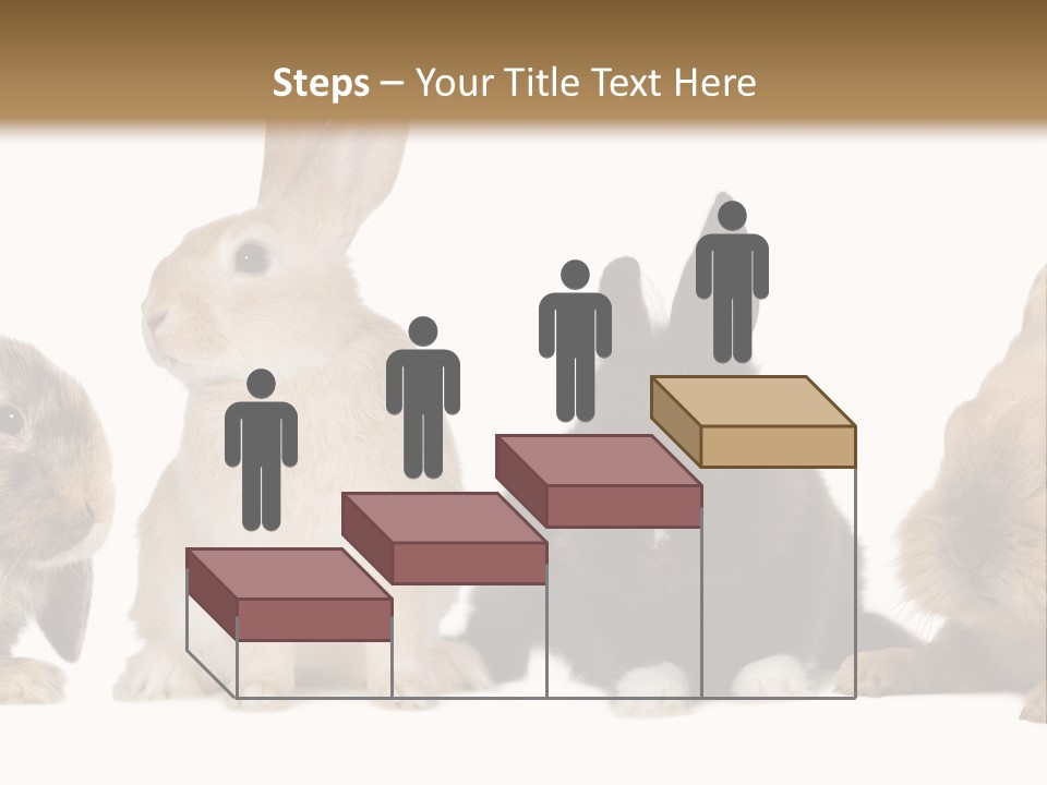 Studio Shot White Background Black PowerPoint Template