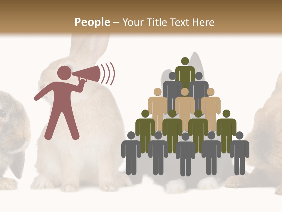 Studio Shot White Background Black PowerPoint Template