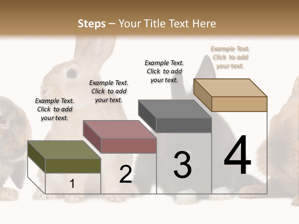 Studio Shot White Background Black PowerPoint Template