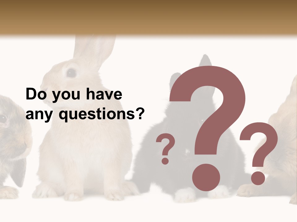 Studio Shot White Background Black PowerPoint Template