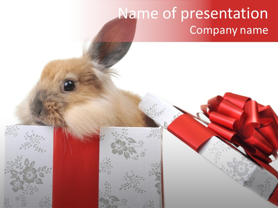 Animals Celebration Gift PowerPoint Template