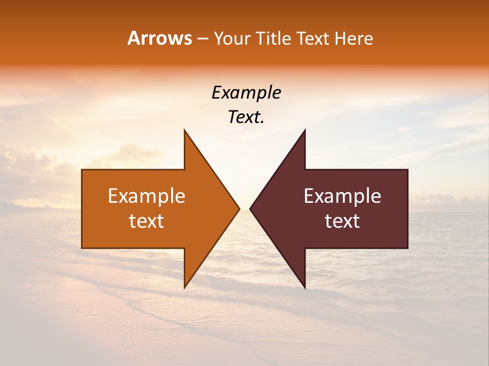 Dominican Background Palm PowerPoint Template