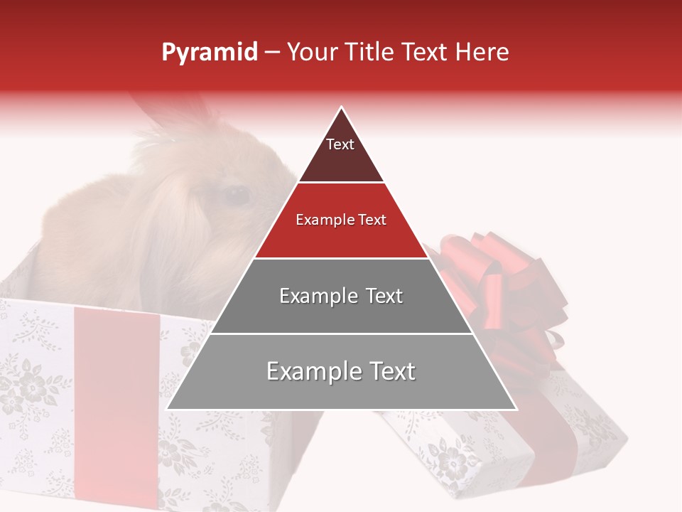 Pattern Joy New PowerPoint Template