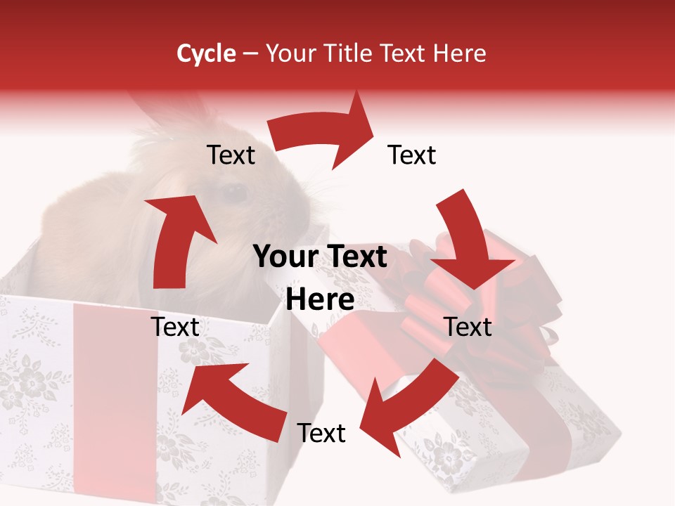 Pattern Joy New PowerPoint Template