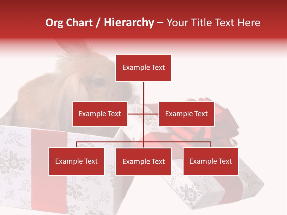 Pattern Joy New PowerPoint Template