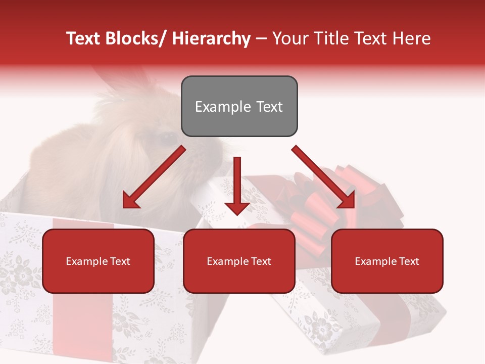 Pattern Joy New PowerPoint Template