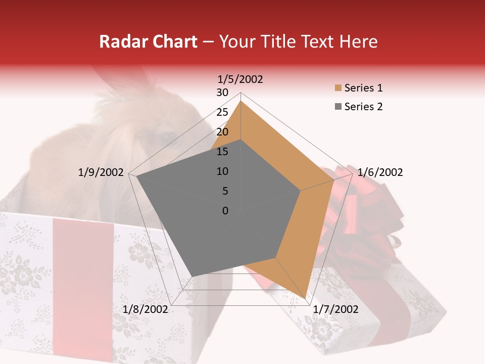 Pattern Joy New PowerPoint Template