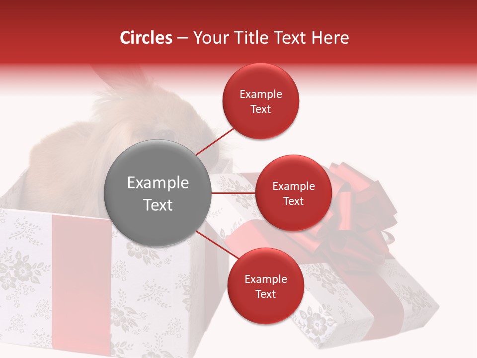 Pattern Joy New PowerPoint Template