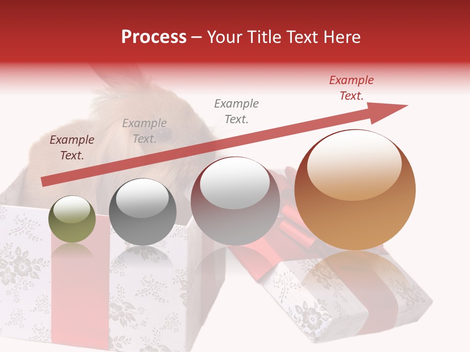 Pattern Joy New PowerPoint Template