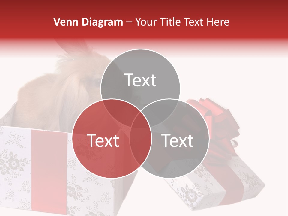 Pattern Joy New PowerPoint Template