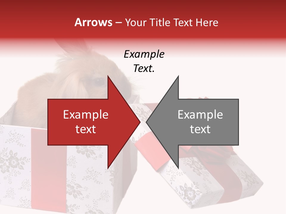 Pattern Joy New PowerPoint Template