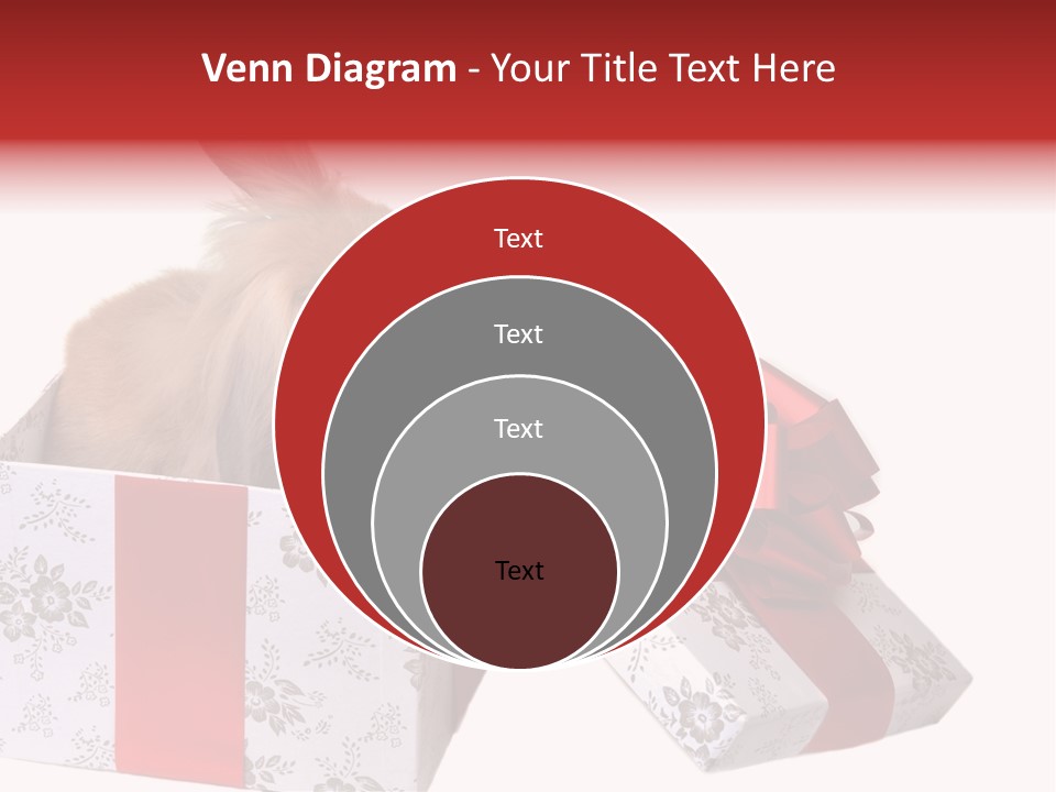 Pattern Joy New PowerPoint Template