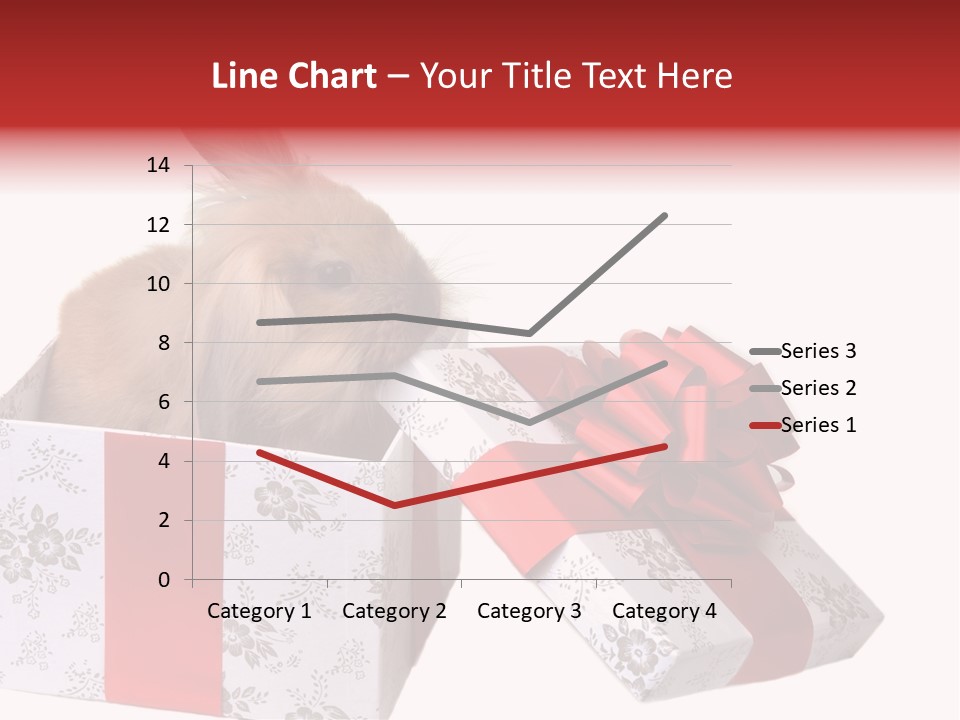 Pattern Joy New PowerPoint Template