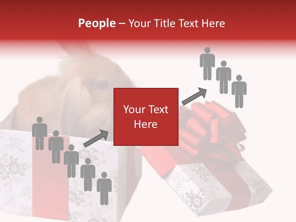 Pattern Joy New PowerPoint Template