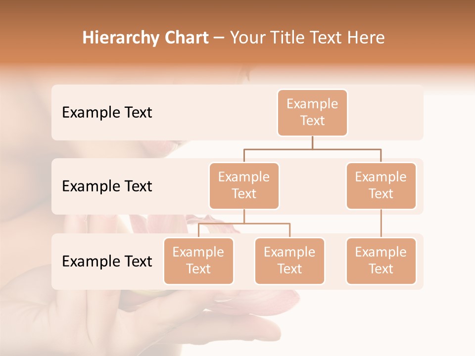 Hobby Fish Vacation PowerPoint Template