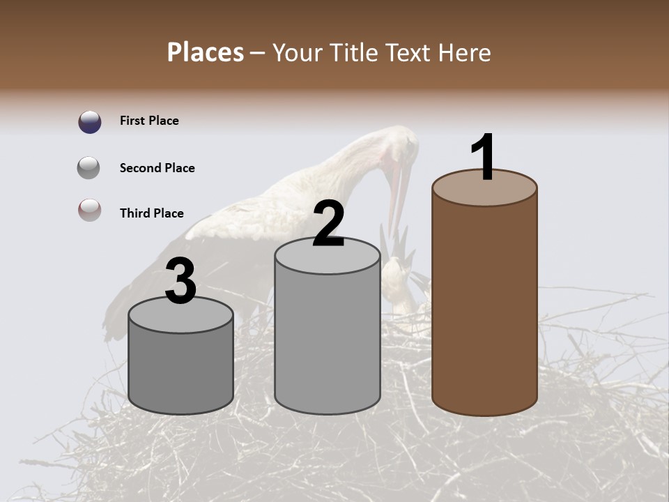 Many Playgroup Care PowerPoint Template
