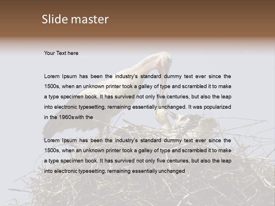 Many Playgroup Care PowerPoint Template