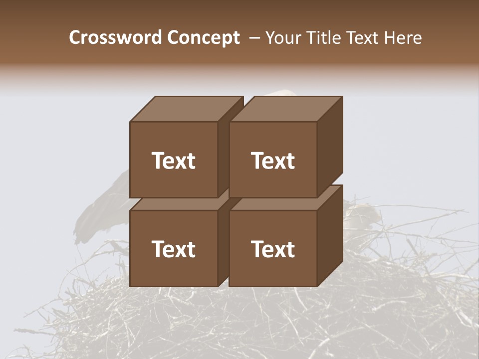 Many Playgroup Care PowerPoint Template