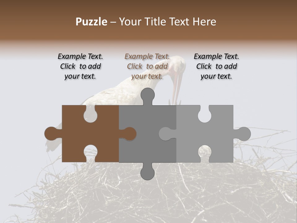 Many Playgroup Care PowerPoint Template