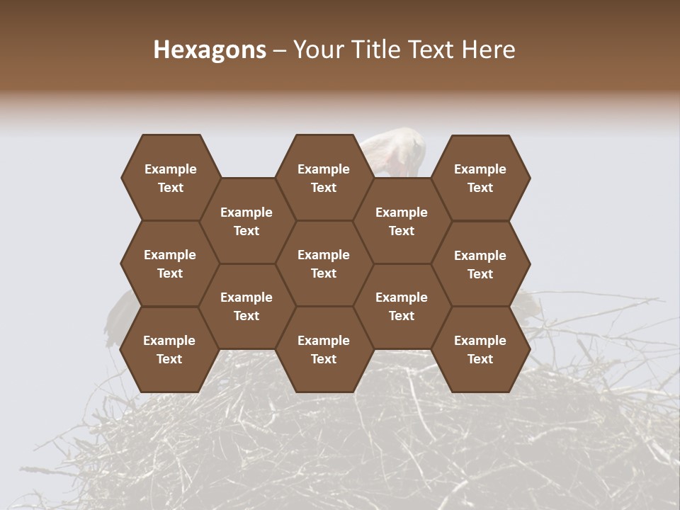 Many Playgroup Care PowerPoint Template