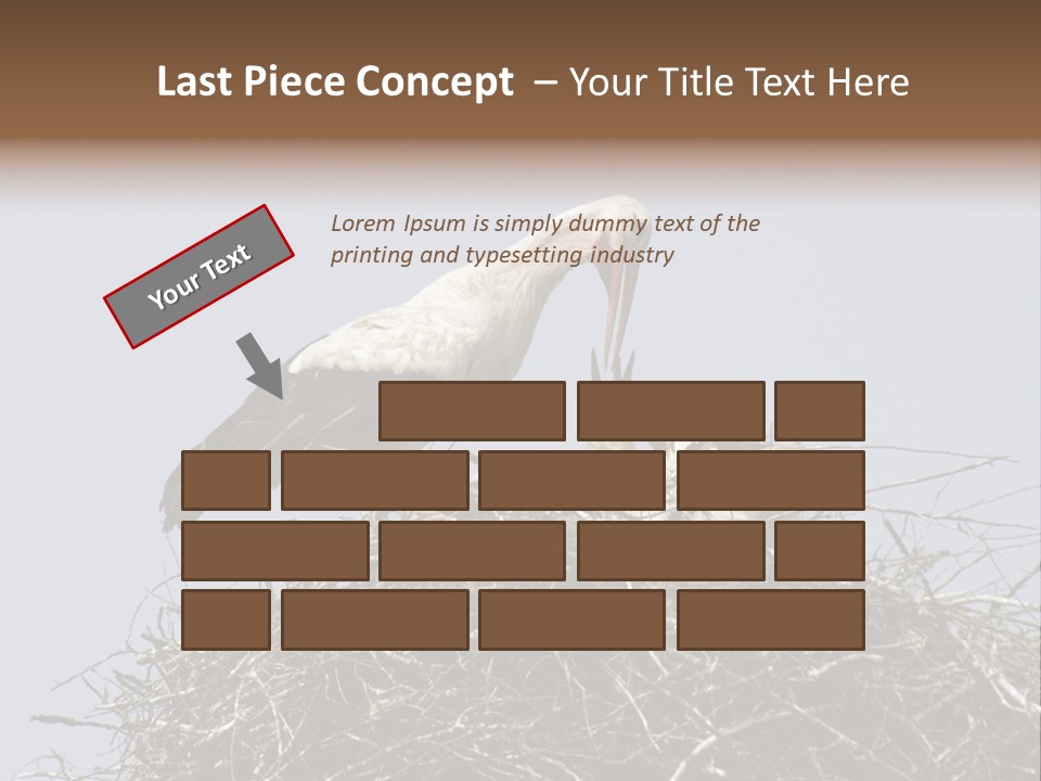 Many Playgroup Care PowerPoint Template