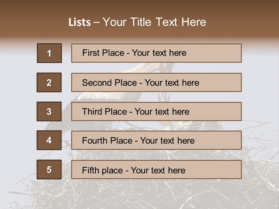 Many Playgroup Care PowerPoint Template
