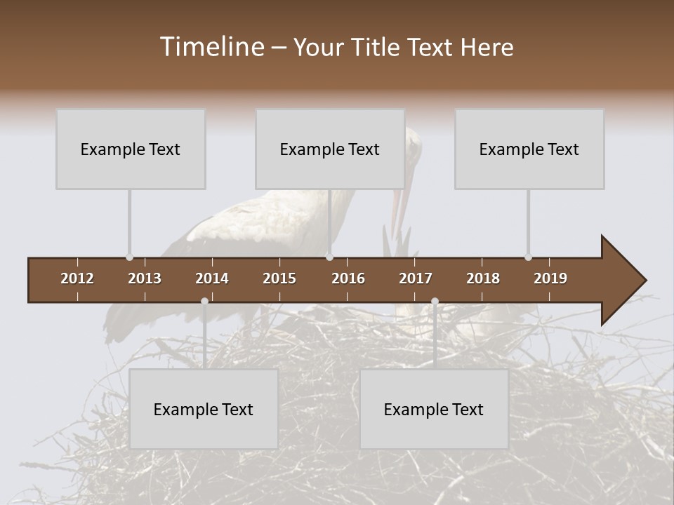 Many Playgroup Care PowerPoint Template