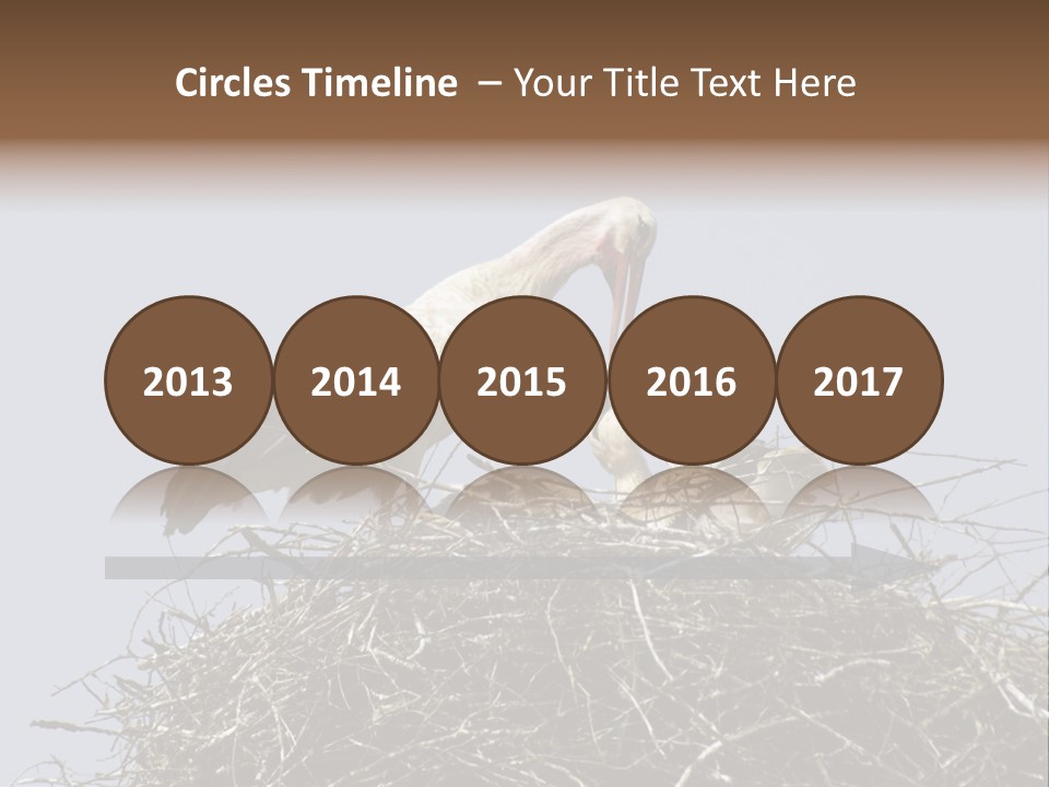 Many Playgroup Care PowerPoint Template