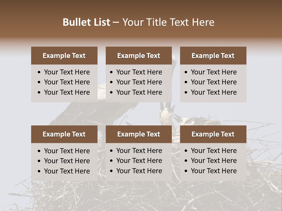 Many Playgroup Care PowerPoint Template