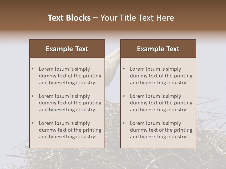 Many Playgroup Care PowerPoint Template