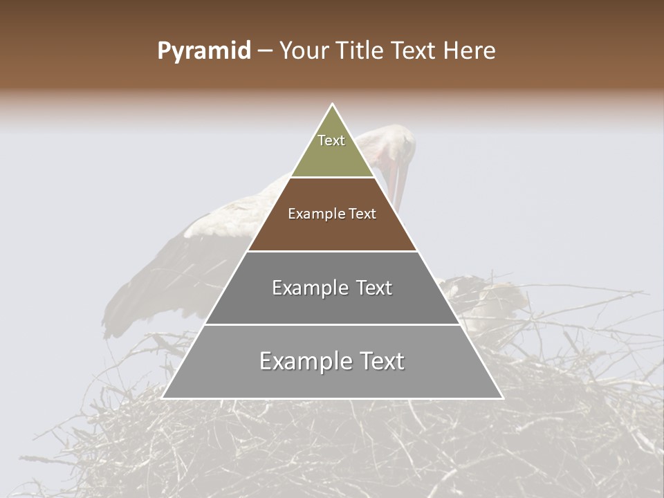 Many Playgroup Care PowerPoint Template