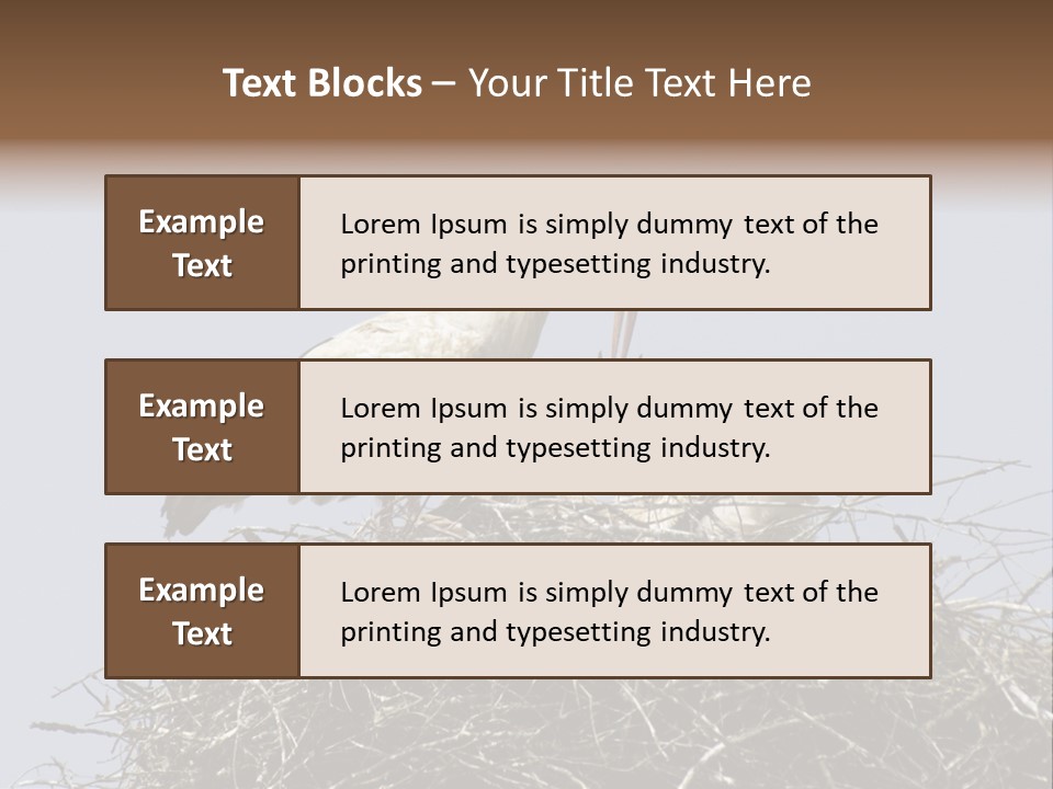 Many Playgroup Care PowerPoint Template