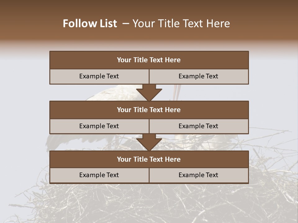 Many Playgroup Care PowerPoint Template