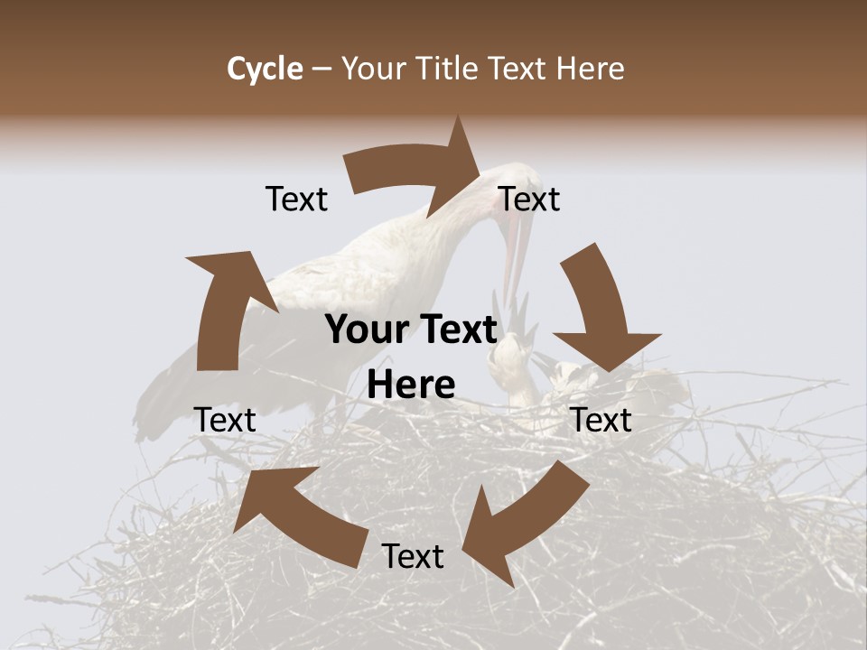 Many Playgroup Care PowerPoint Template