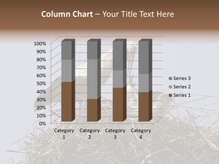 Many Playgroup Care PowerPoint Template