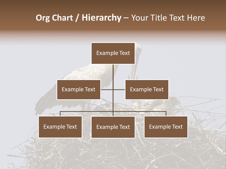 Many Playgroup Care PowerPoint Template