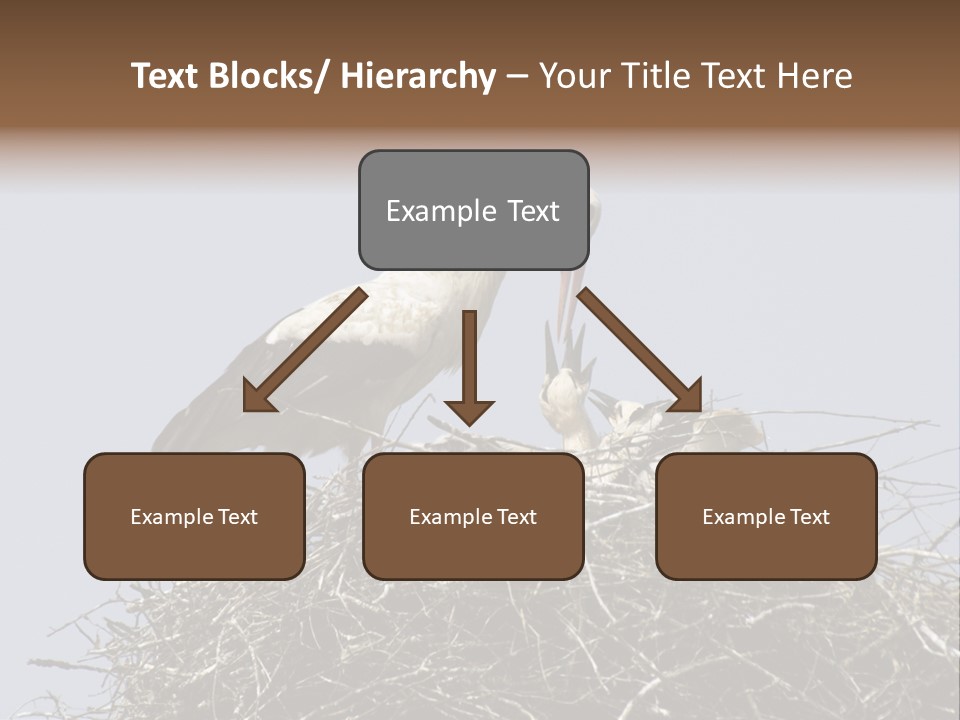 Many Playgroup Care PowerPoint Template