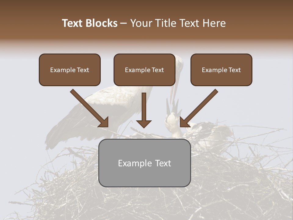 Many Playgroup Care PowerPoint Template